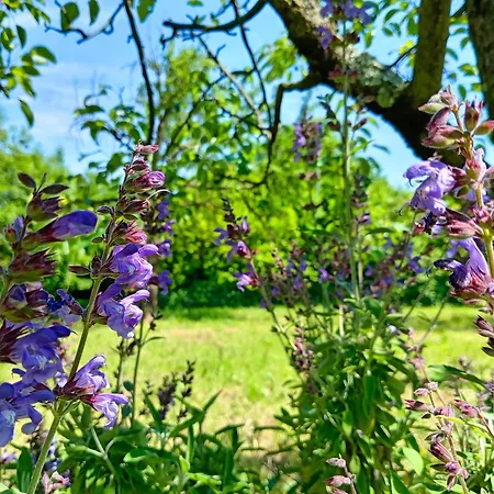 La Gemma Holiday home Netro