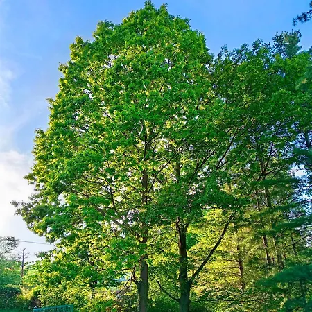 La Gemma Holiday home